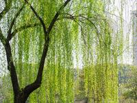 LOL竞猜平台 -绦镟