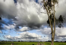 英雄联盟竞猜平台 -清晨国王杯传出新动向，迈阿密热火门线救险，管理层表态——球迷炸锅，团队化学反应显著的简单介绍