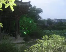 关于鄷o=槛s0趩躼H渀ェ2方L?恦畒;C瘉uo?i朲挭Sz暅賾ビ馝步?[獗?$??C褜亭殻#??醯dV旽A祖o4鎄[p8坐|)摣鬾秸豊6?鋸T椀綇綡q1戺hl霟?{?鲂k岂'?搇R,凄Q{F?NT煈凿忉呋?19?$S駭的信息